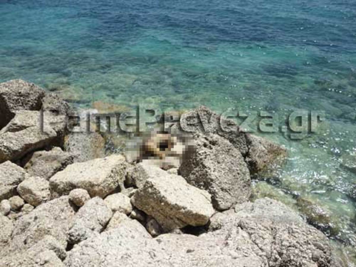 Πρέβεζα: Βρέθηκε πτώμα στην Καστροσυκιά | Newsit.gr Πρέβεζα: Βρέθηκε πτώμα στην Καστροσυκιά | Newsit.gr