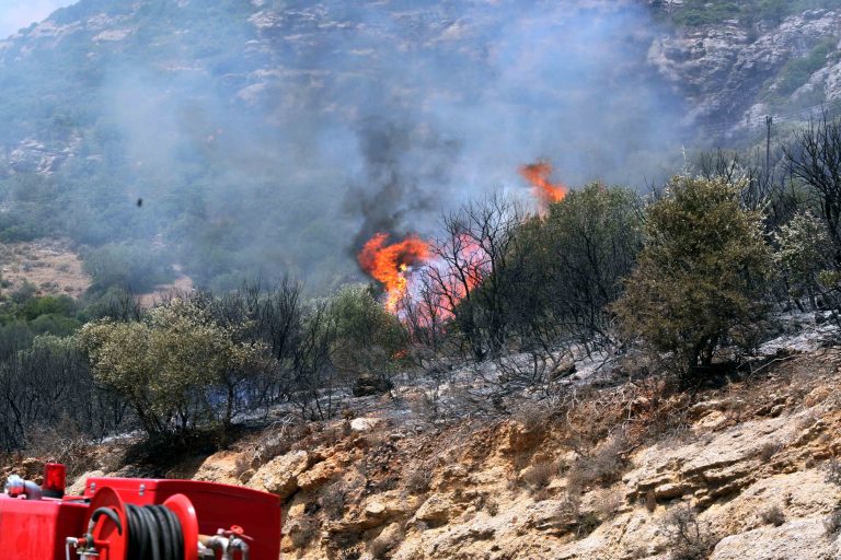 Καίγεται δασική έκταση στη Λακωνία | Newsit.gr Καίγεται δασική έκταση στη Λακωνία | Newsit.gr