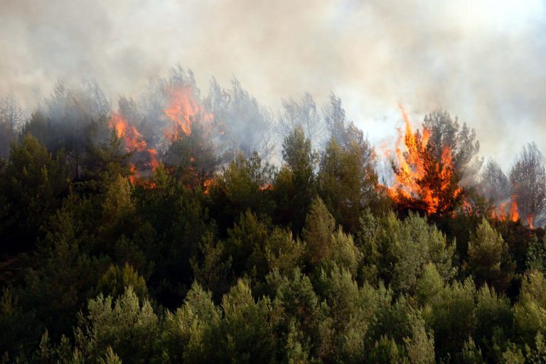 Καταστράφηκαν περιουσίες στη Βιάννο – Στις αυλές των σπιτιών η φωτιά, κάηκαν τα δίκτυα άρδευσης | Newsit.gr Καταστράφηκαν περιουσίες στη Βιάννο – Στις αυλές των σπιτιών η φωτιά, κάηκαν τα δίκτυα άρδευσης | Newsit.gr