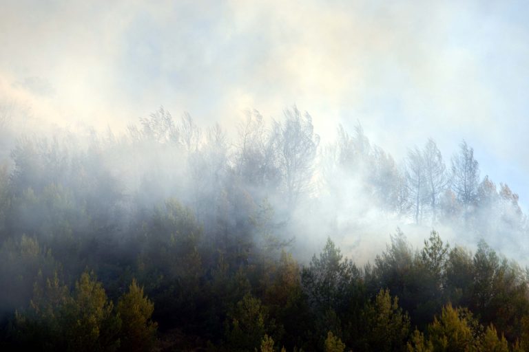 Ανεξέλεγκτη φωτιά σε δάσος της Λευκωσίας (VIDEO) | Newsit.gr Ανεξέλεγκτη φωτιά σε δάσος της Λευκωσίας (VIDEO) | Newsit.gr
