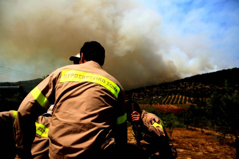 Φωτιά στο Μαραθώνα και τη Σαλαμίνα | Newsit.gr Φωτιά στο Μαραθώνα και τη Σαλαμίνα | Newsit.gr