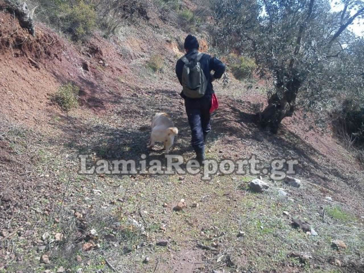 Φθιώτιδα: Συνεχίζονται οι έρευνες για αγνοούμενο ηλικιωμένο στον Παρνασσό! | Newsit.gr Φθιώτιδα: Συνεχίζονται οι έρευνες για αγνοούμενο ηλικιωμένο στον Παρνασσό! | Newsit.gr