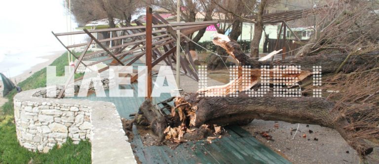 Ηλεία: Ανεμοστρόβιλος κατέστρεψε από κατασκευές και δέντρα μέχρι αυτοκίνητα-Δείτε φωτό! | Newsit.gr Ηλεία: Ανεμοστρόβιλος κατέστρεψε από κατασκευές και δέντρα μέχρι αυτοκίνητα-Δείτε φωτό! | Newsit.gr