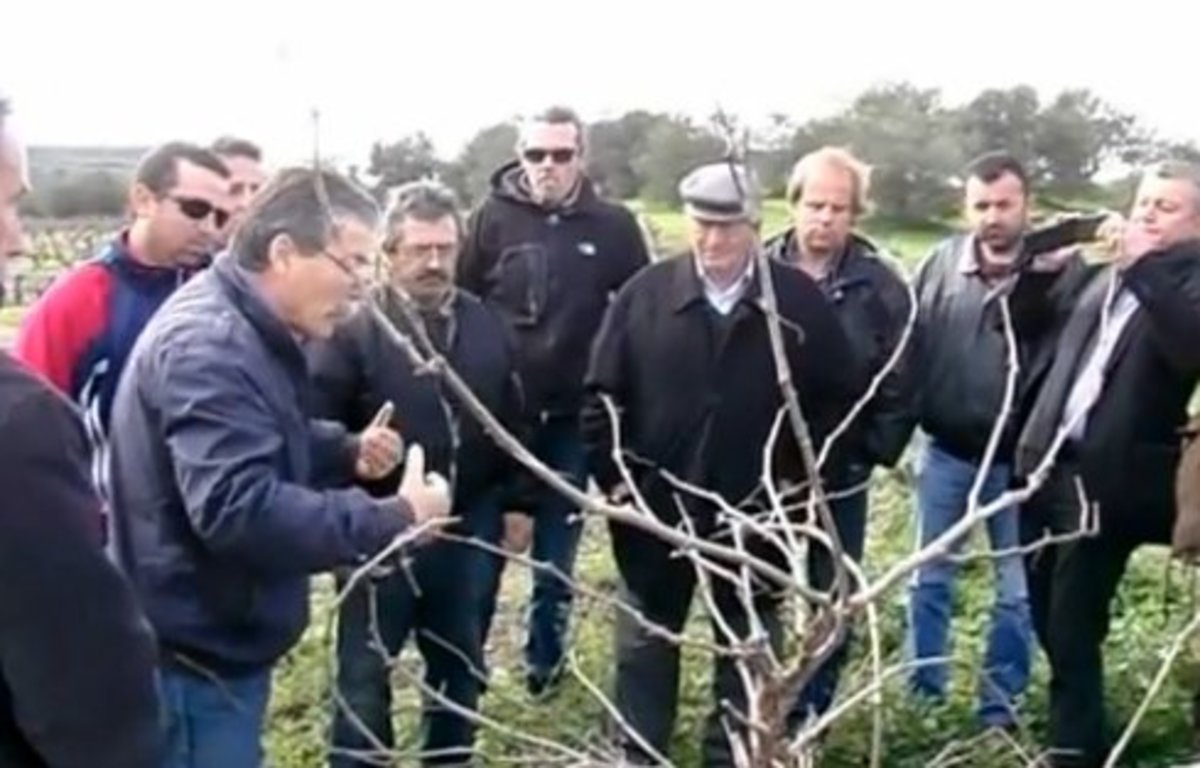 Κρητικοί εγκαταλείπουν την Αθήνα και επιστρέφουν στο χωριό για να μάθουν να καλλιεργούν τα χωράφια! | Newsit.gr Κρητικοί εγκαταλείπουν την Αθήνα και επιστρέφουν στο χωριό για να μάθουν να καλλιεργούν τα χωράφια! | Newsit.gr