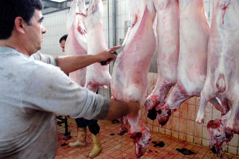 Κλείνει από σήμερα το δημοτικό σφαγείο Χανίων – Αντιδρούν οι κτηνοτρόφοι | Newsit.gr Κλείνει από σήμερα το δημοτικό σφαγείο Χανίων – Αντιδρούν οι κτηνοτρόφοι | Newsit.gr