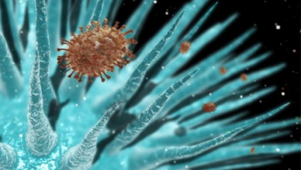 Ζωή σε slow motion… | Newsit.gr Ζωή σε slow motion… | Newsit.gr