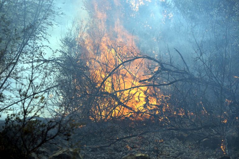 Υπο μερικό έλεγχο η πυρκαγιά στο Σοφικό Κορινθίας | Newsit.gr Υπο μερικό έλεγχο η πυρκαγιά στο Σοφικό Κορινθίας | Newsit.gr