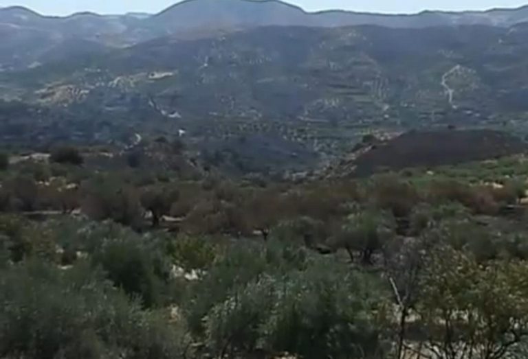 Βιάννος: Η επόμενη μέρα – Μια ζωή στις…στάχτες! ΒΙΝΤΕΟ | Newsit.gr Βιάννος: Η επόμενη μέρα – Μια ζωή στις…στάχτες! ΒΙΝΤΕΟ | Newsit.gr