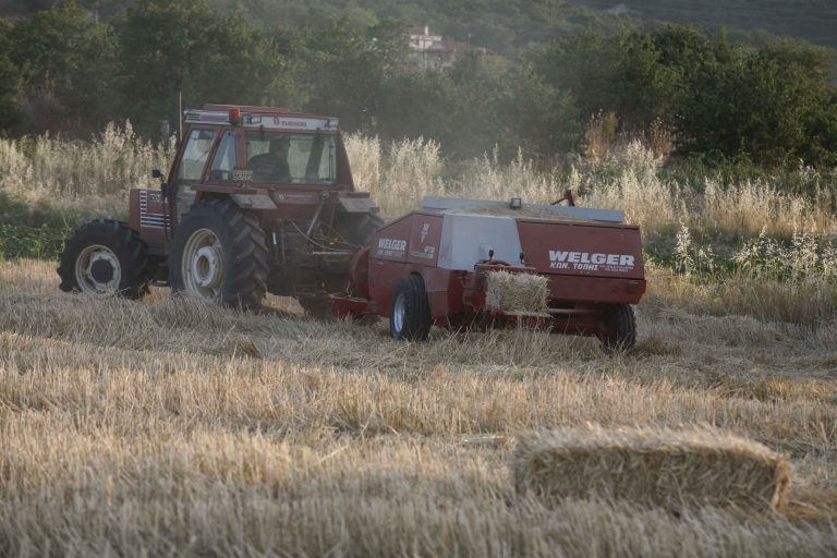 Χανιά: Μήνυση για τις αγροτικές αποζημιώσεις | Newsit.gr Χανιά: Μήνυση για τις αγροτικές αποζημιώσεις | Newsit.gr