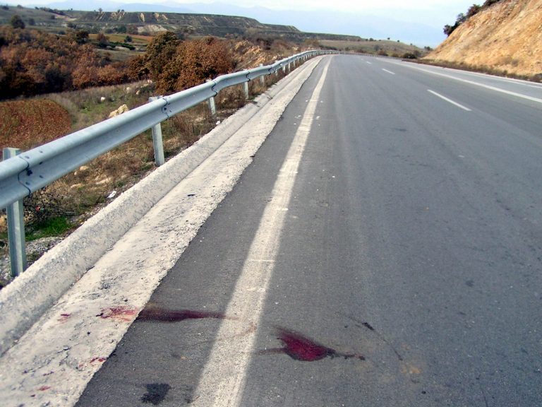 Θύματα της «ασφάλτου» έπεσαν ένας λύκος και ένα αγριογούρουνο | Newsit.gr Θύματα της «ασφάλτου» έπεσαν ένας λύκος και ένα αγριογούρουνο | Newsit.gr