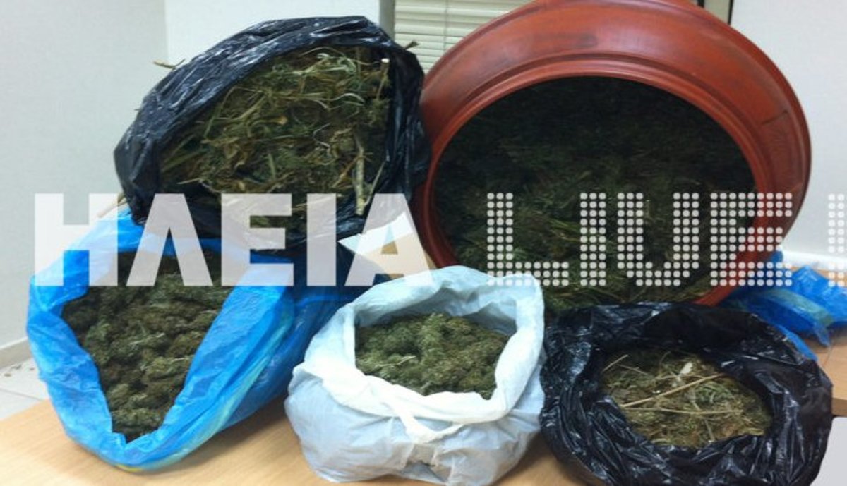 Ηλεία: Έκρυβαν τη φούντα στο βαρέλι! | Newsit.gr Ηλεία: Έκρυβαν τη φούντα στο βαρέλι! | Newsit.gr