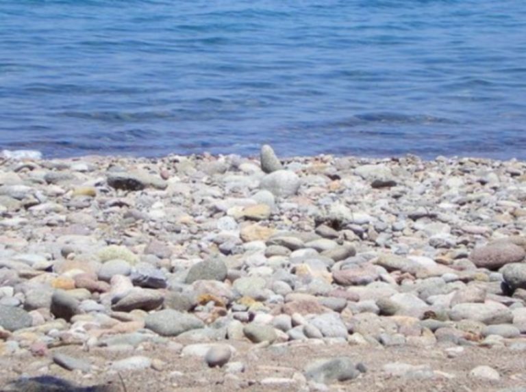 Του γυαλού τα βοτσαλάκια… έκλεβαν δύο Αλβανοί! | Newsit.gr Του γυαλού τα βοτσαλάκια… έκλεβαν δύο Αλβανοί! | Newsit.gr