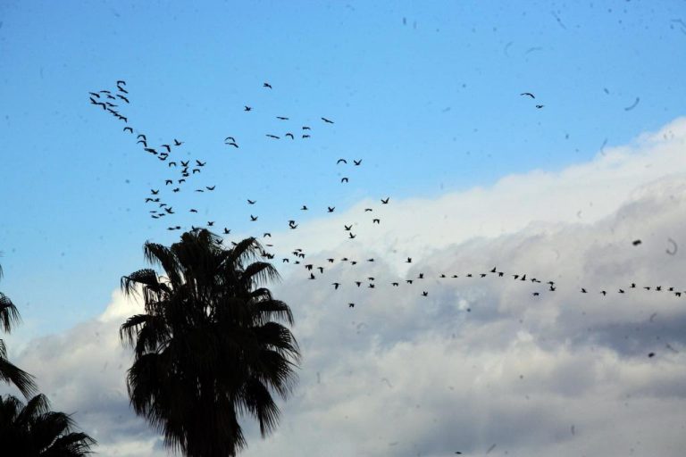 Μυστήριο με τους ήχος και τις δονήσεις στα Χανιά – Τις κατέγραψαν και οι σεισμογράφοι! | Newsit.gr Μυστήριο με τους ήχος και τις δονήσεις στα Χανιά – Τις κατέγραψαν και οι σεισμογράφοι! | Newsit.gr