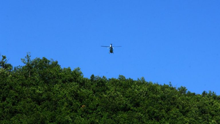 Πάνω από 4.000 τα χασισόδεντρα στην Καρδίτσα – Έπιασαν ένα άτομο – Δείτε φωτογραφίες! | Newsit.gr Πάνω από 4.000 τα χασισόδεντρα στην Καρδίτσα – Έπιασαν ένα άτομο – Δείτε φωτογραφίες! | Newsit.gr