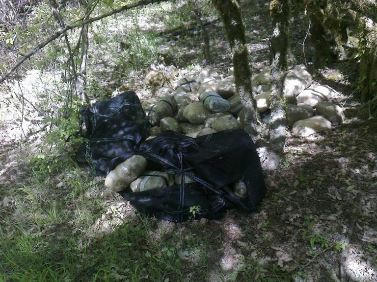 Πυροβόλησαν κυνηγό γιατί τον μπέρδεψαν με αστυνομικό – «Μπλόκο» σε 883 κιλά χασίς στη Θεσπρωτία | Newsit.gr Πυροβόλησαν κυνηγό γιατί τον μπέρδεψαν με αστυνομικό – «Μπλόκο» σε 883 κιλά χασίς στη Θεσπρωτία | Newsit.gr