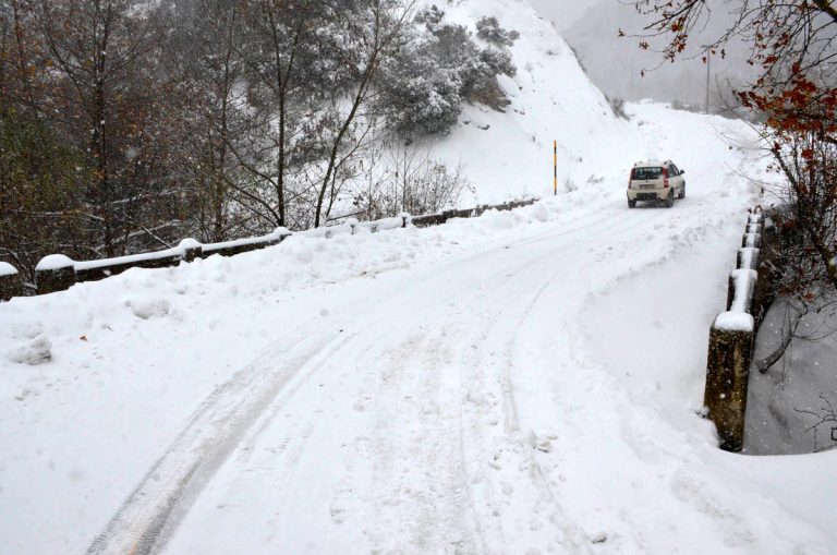 Κακοκαιρία: Πτώσεις δέντρων στην Αττική, διακοπήκε η κυκλοφορία στη λ.Πάρνηθος | Newsit.gr Κακοκαιρία: Πτώσεις δέντρων στην Αττική, διακοπήκε η κυκλοφορία στη λ.Πάρνηθος | Newsit.gr