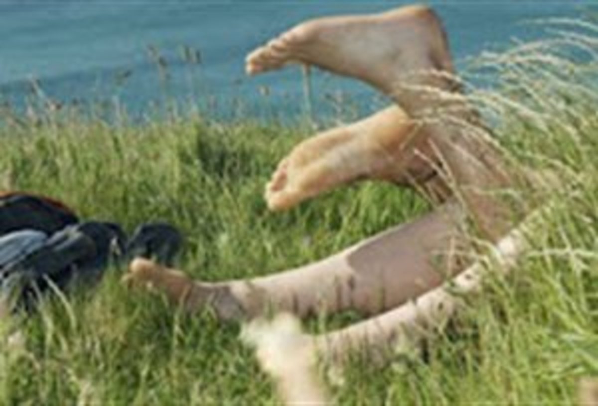 «Έσπειραν»… στρινγκ σε χωράφι της Εύβοιας | Newsit.gr «Έσπειραν»… στρινγκ σε χωράφι της Εύβοιας | Newsit.gr