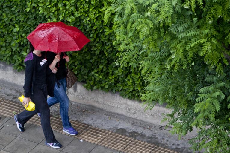 Λάρισα: Ολοκληρωτική καταστροφή στην αγροτική οδοποιία του δήμου Αγιάς από την κακοκαιρία! | Newsit.gr Λάρισα: Ολοκληρωτική καταστροφή στην αγροτική οδοποιία του δήμου Αγιάς από την κακοκαιρία! | Newsit.gr