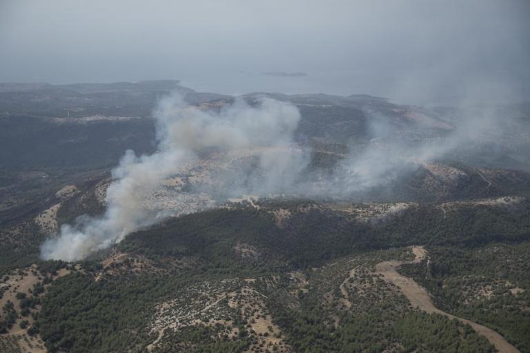 Φωτιά ΤΩΡΑ στην Θάσο | Newsit.gr