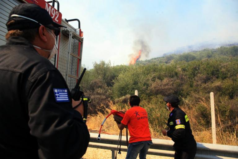 Κορινθία: Σε εξέλιξη η φωτιά στο Κούτσι Νεμέας – Μαίνεται για 3η μέρα – 120 πυροσβέστες στη μάχη! | Newsit.gr Κορινθία: Σε εξέλιξη η φωτιά στο Κούτσι Νεμέας – Μαίνεται για 3η μέρα – 120 πυροσβέστες στη μάχη! | Newsit.gr