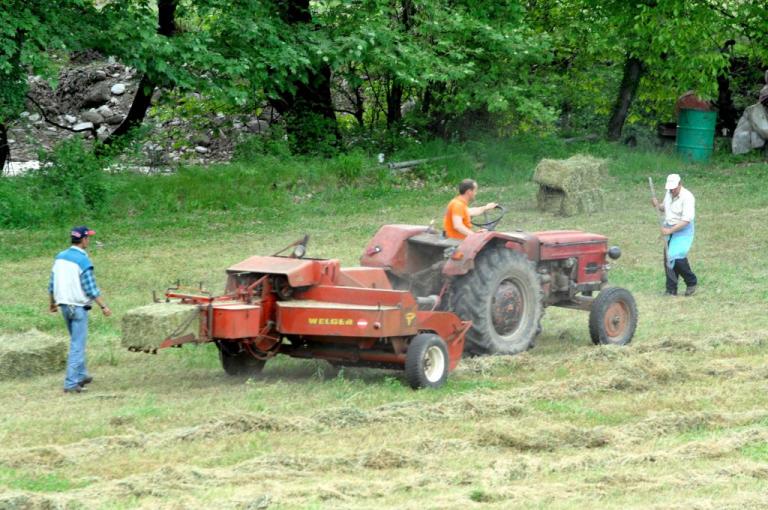 ΕΛΓΑ: Πότε θα καταβληθούν οι αποζημιώσεις σε 65.653 αγρότες και κτηνοτρόφους | Newsit.gr