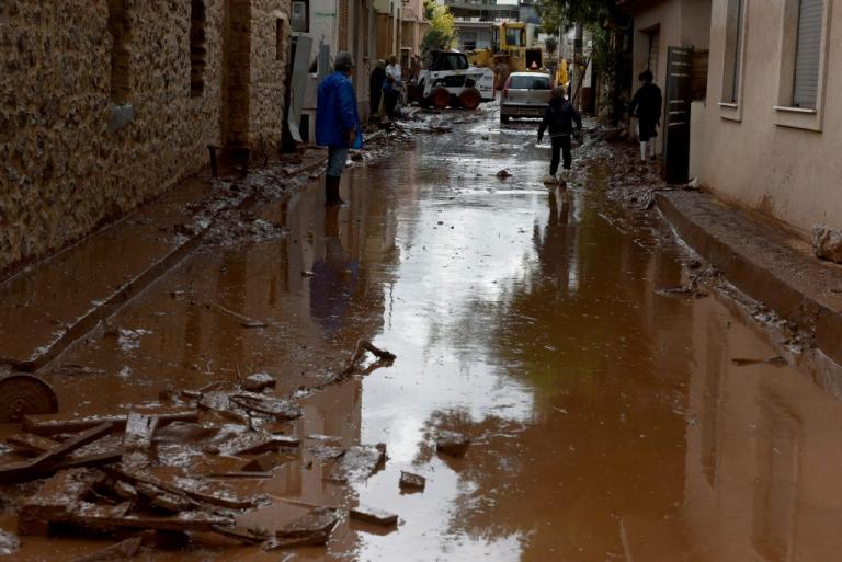 Κρήτη: Βοήθεια στους πληγέντες της Μάνδρας από τους Ηρακλιώτες | Newsit.gr