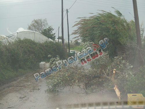 ΦΩΤΟ από pamepreveza.gr