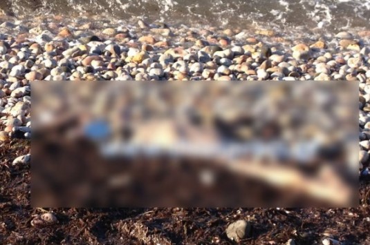 Ξεβράζονται πτώματα μεταναστών στις παραλίες της Χίου