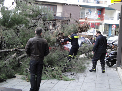 Φωτογραφίες από: Εφ. Μαχητής