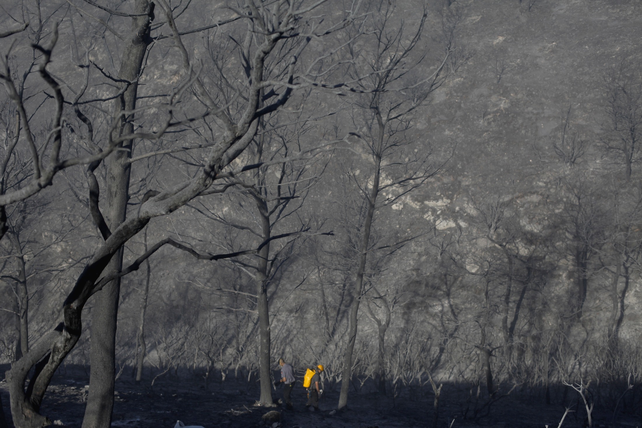 Καταστροφικό το έργο της πυρκαγιάς - ΦΩΤΟ REUTERS