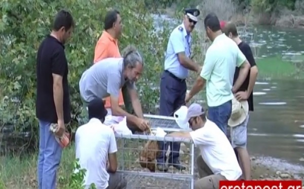 ΦΩΤΟ από cretapost.gr