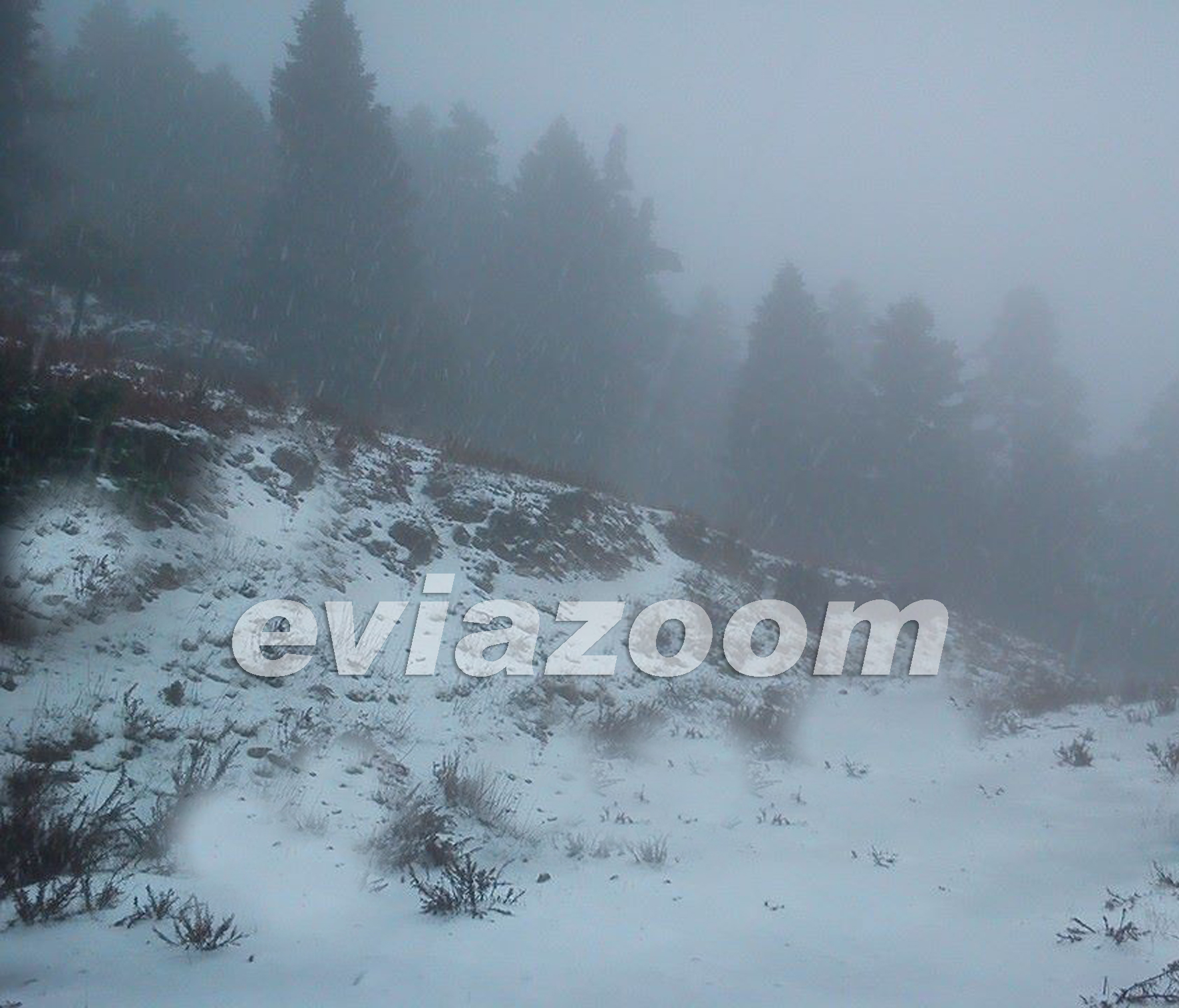 ΦΩΤΟ από eviazoom