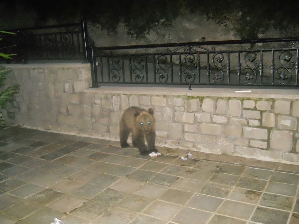 ΦΩΤΟ από epirusgate