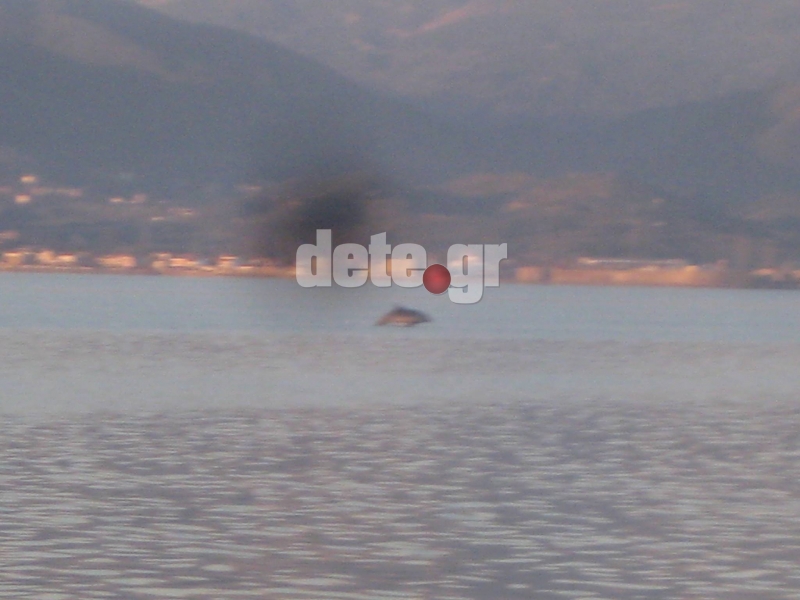 ΦΩΤΟ από dete.gr