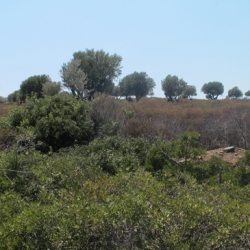 Φωτογραφία από τη στεριά του νησιού - ΦΩΤΟ από seleo.gr