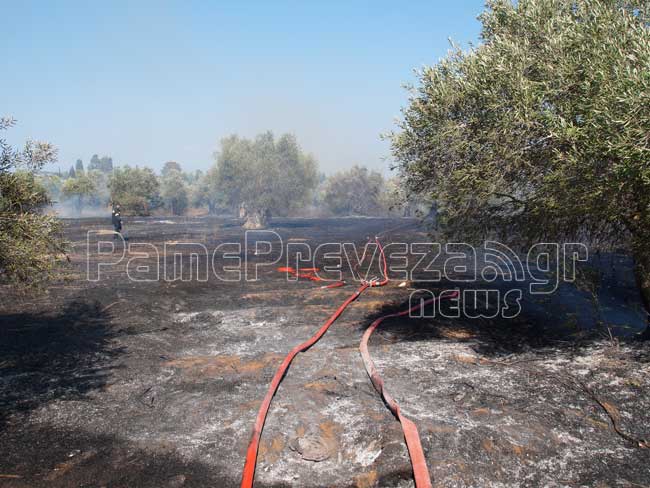 ΦΩΤΟ από pamepreveza.gr