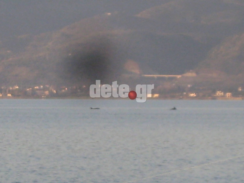 ΦΩΤΟ από dete.gr