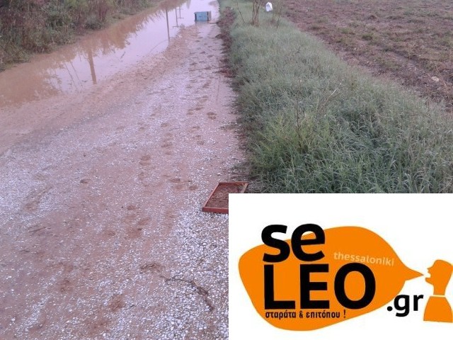 ΦΩΤΟ από seleo.gr