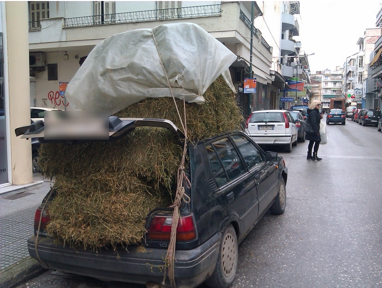 ΦΩΤΟ από trikalavoice.gr