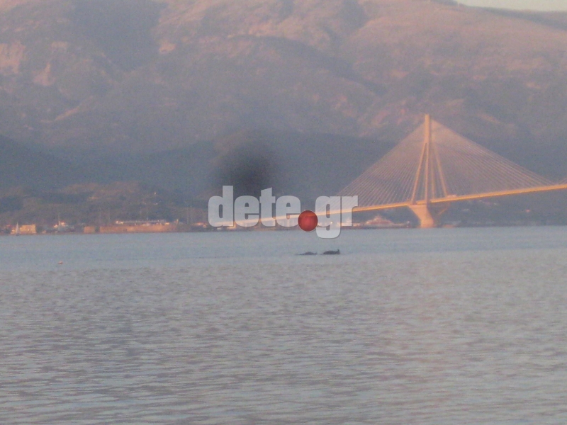ΦΩΤΟ από dete.gr