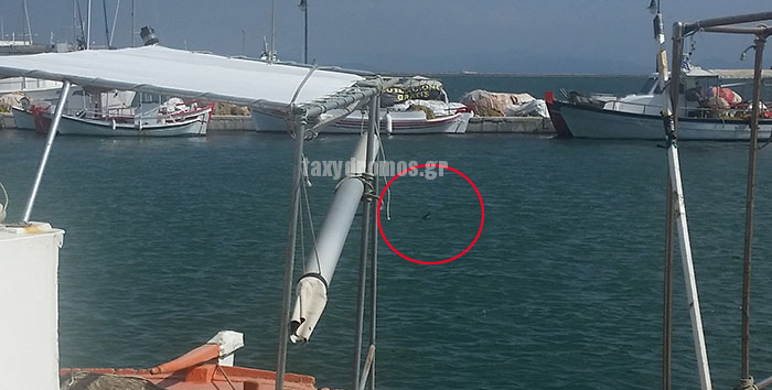 ΦΩΤΟ από taxydromos.gr