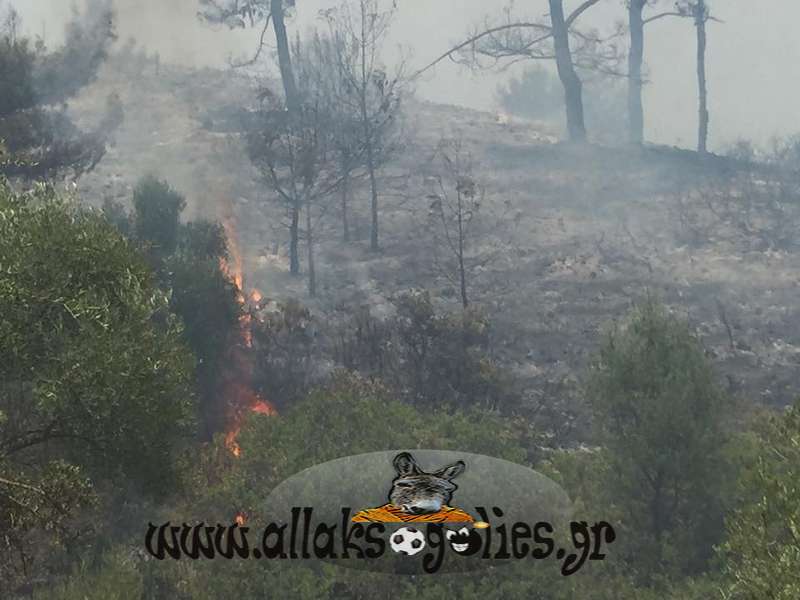 ΦΩΤΟ από allaksogolies.gr