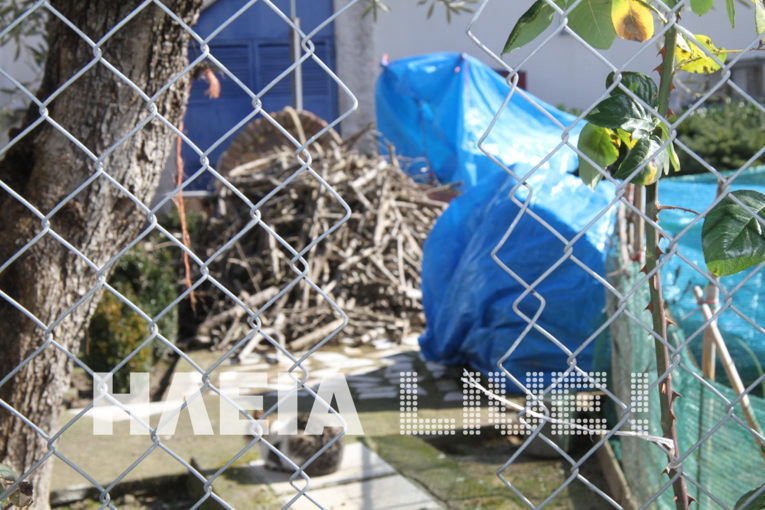 ΦΩΤΟ από ilialive.gr