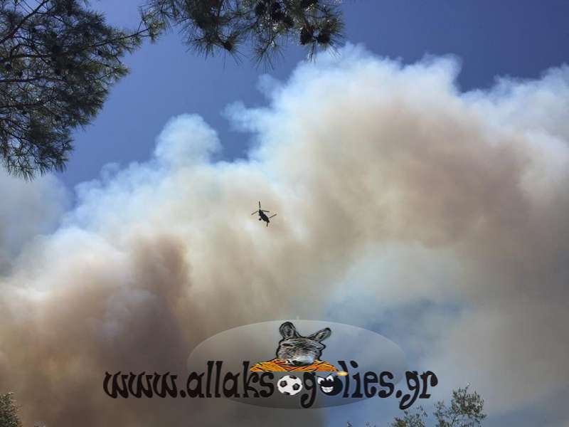 ΦΩΤΟ από allaksogolies.gr