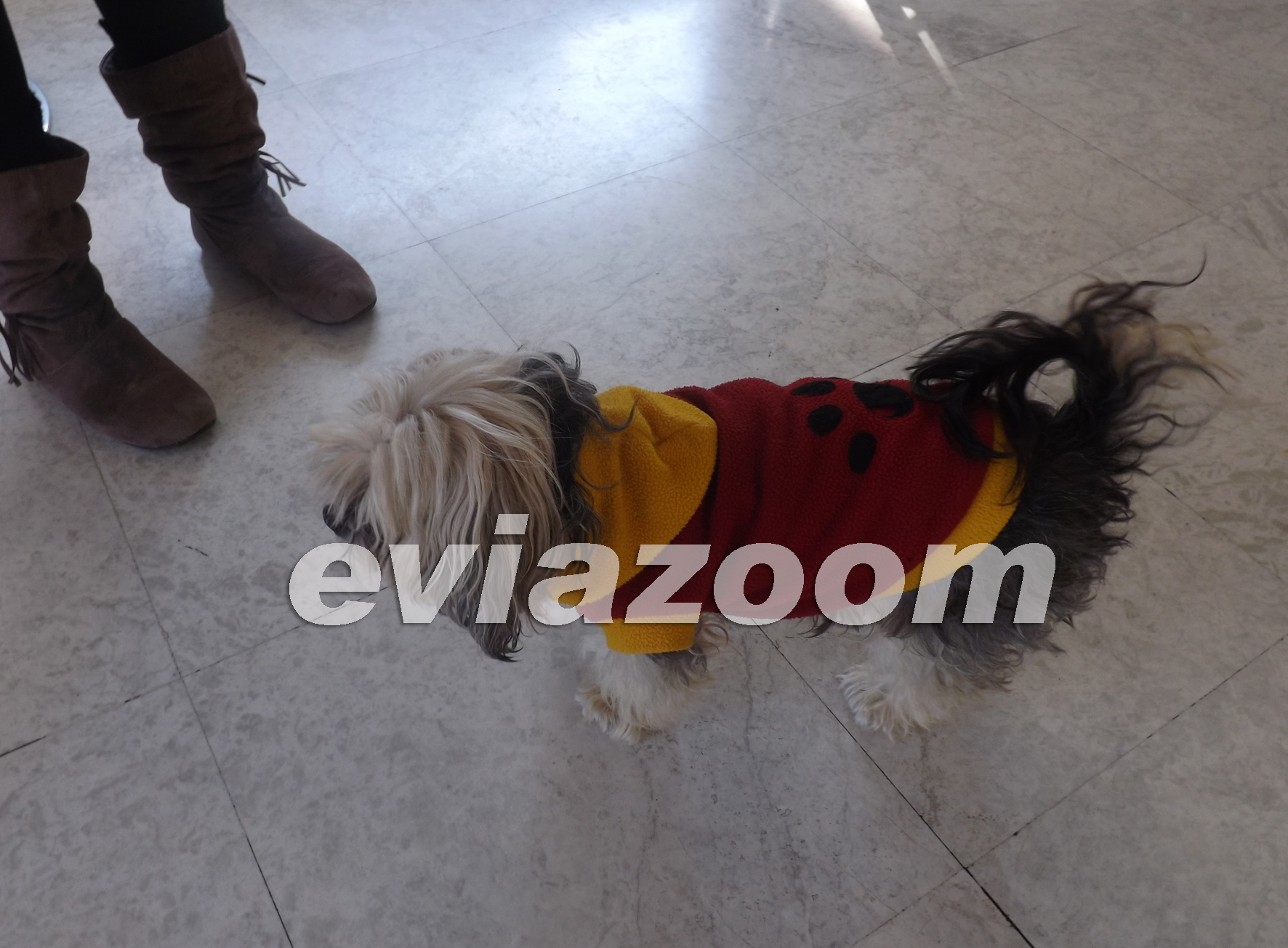 ΦΩΤΟ από eviazoom