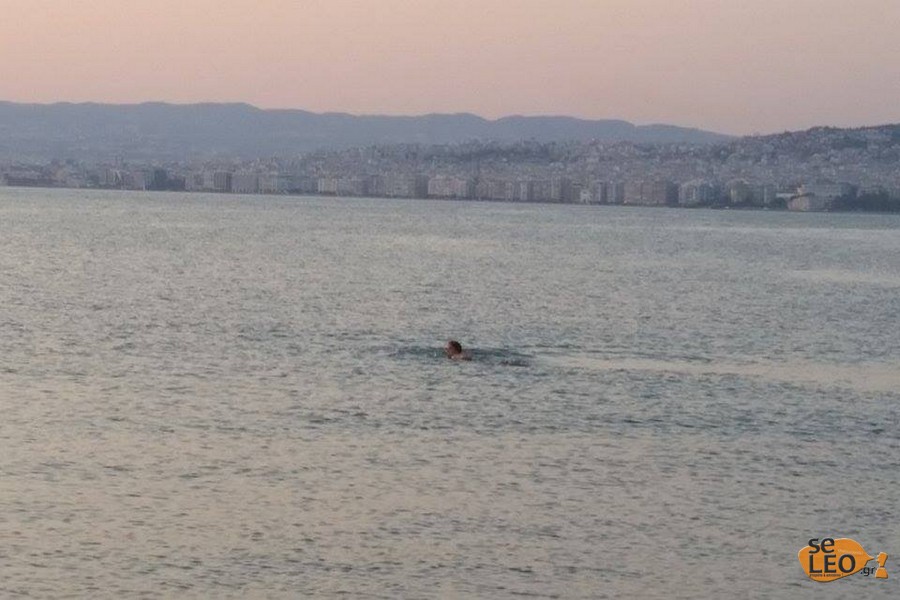 ΦΩΤΟ από seleo.gr