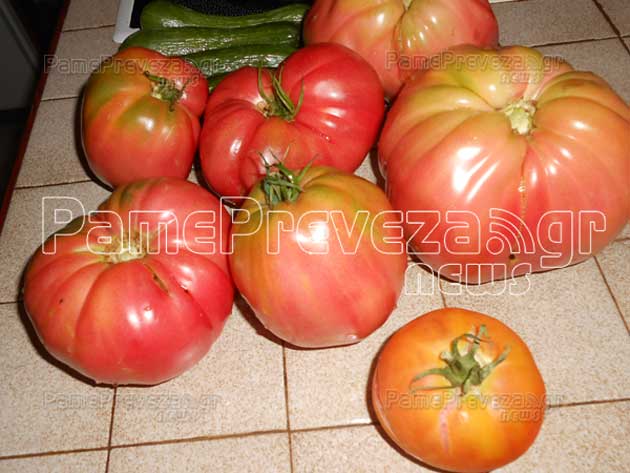 ΦΩΤΟ από pamepreveza.gr