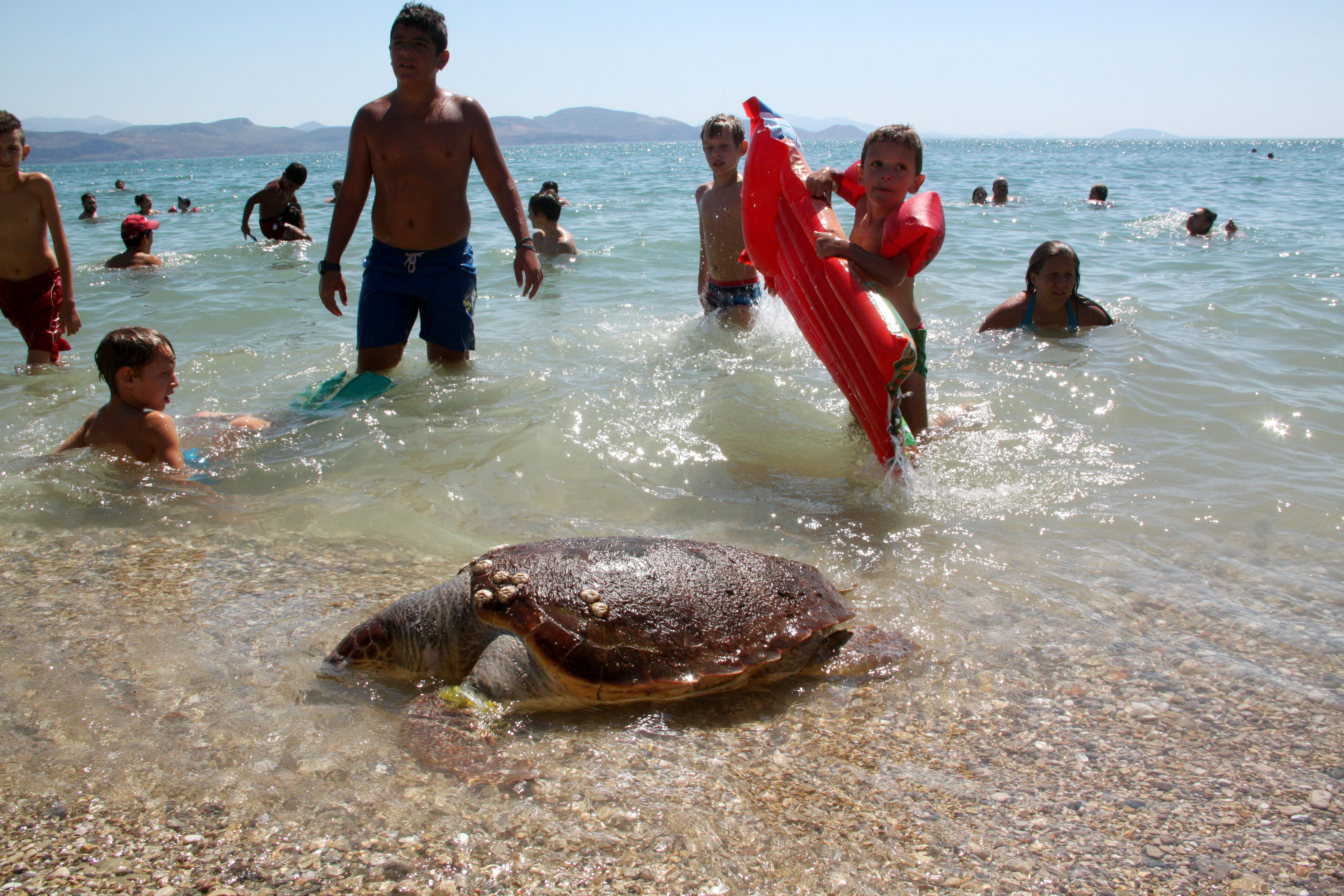 ΦΩΤΟ EUROKINISSI