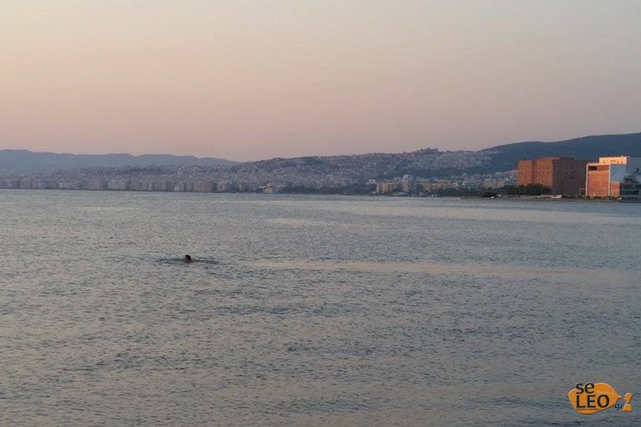 ΦΩΤΟ από seleo.gr
