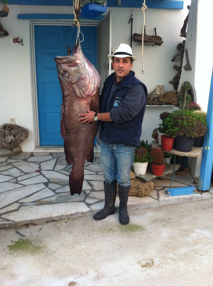 ΦΩΤΟ από cyclades24.gr
